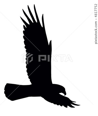 Flying eagle. 4817752