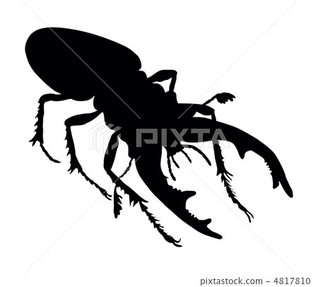 Beetle deer 4817810