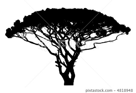 Wide tree silhouette 4818948