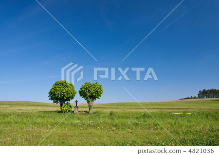 cross in the field cross in the field 4821036