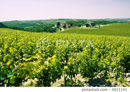 Typical Tuscan landscape 4821141