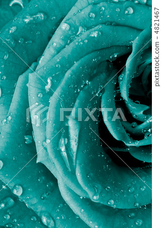 fold, high, tall 4821467