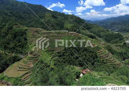 在Banaw的水稻大陽台在菲律賓 4823705