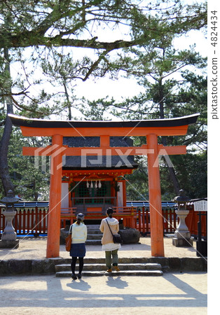 一個女孩，希望Kiyomori 4824434