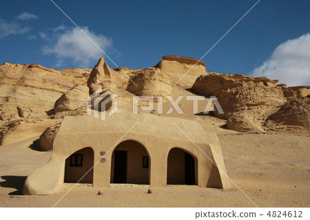 Wadi Al-Hitan 4824612