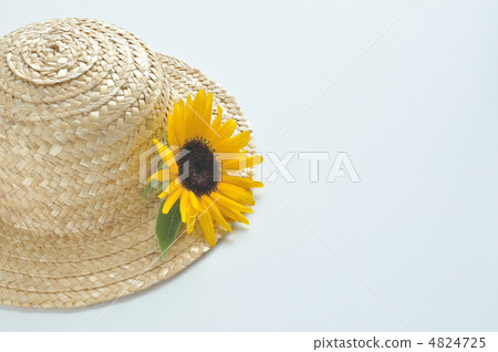 向日葵草帽 4824725