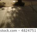 Annular solar eclipse 4824751
