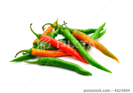 紅辣椒青椒 紅辣椒青椒 4824904