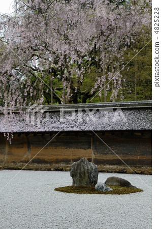 Ryoanji,石頭花園石 Ryoanji,石頭花園石 4825228