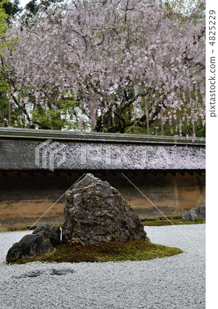Ryoanji,石頭花園石 Ryoanji,石頭花園石 4825229