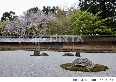 Ryoanji,春天岩石花園 Ryoanji,春天岩石花園 4825235