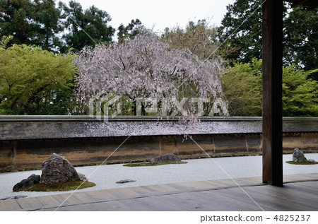 Ryoan Temple, rim side and rock garden 4825237