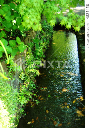 May Waterside的新鮮綠色36 4825458