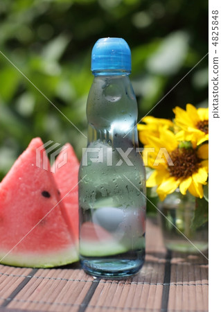 Summer festival 4825848