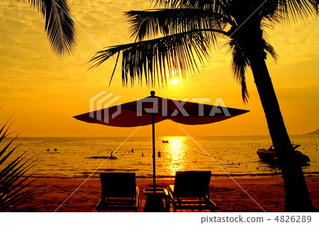 Happy summer sunset 4826289