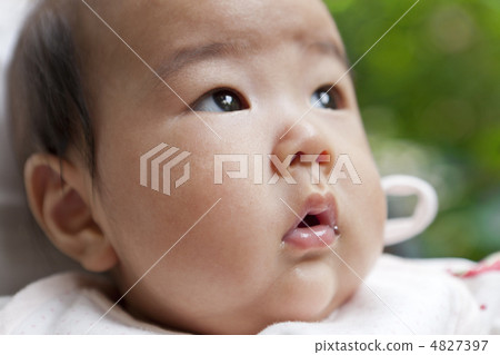 Baby _ 13 4827397