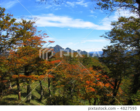 Daito-dake in autumnal leaves 4827593