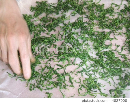 Making new tea Making new tea 4827908