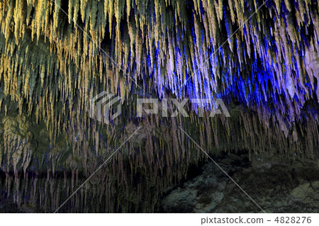 Tamaizumihora Tamaizumihora 4828276