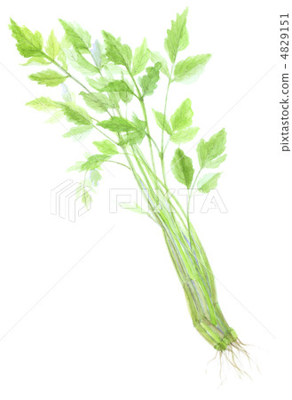 Shimanto prefecture Shimanto prefecture 4829151