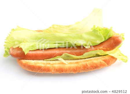 Delicious lettuce dog Delicious lettuce dog 4829512