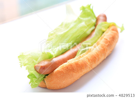 美味的生菜狗 4829513