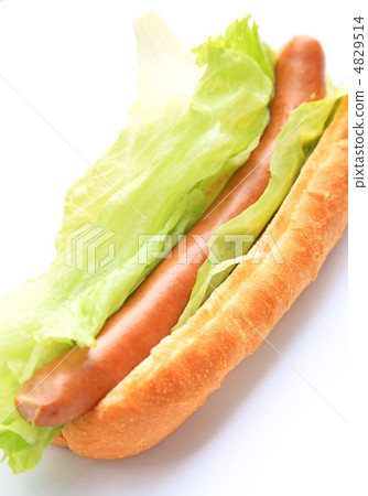 美味的生菜狗 4829514