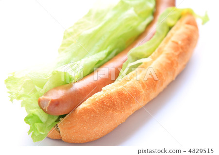 美味的生菜狗 美味的生菜狗 4829515