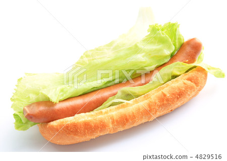 Delicious lettuce dog Delicious lettuce dog 4829516