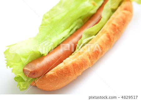 Delicious lettuce dog Delicious lettuce dog 4829517