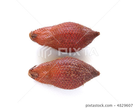 熱帶水果Salak 熱帶水果Salak 4829607