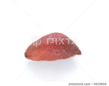熱帶水果Salak 熱帶水果Salak 4829608