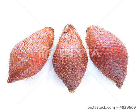 熱帶水果Salak 熱帶水果Salak 4829609