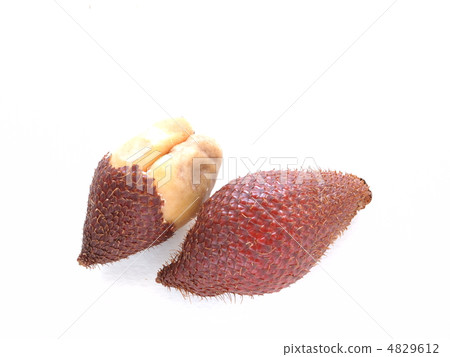 Tropical fruit Salak 4829612