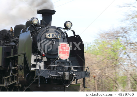 steam locomotive, steam locomotives, vehicle 4829760