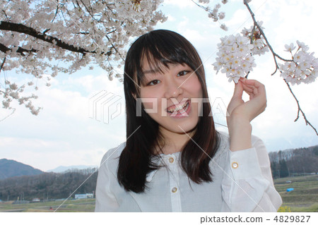 婦女春天櫻桃公園鄉下 4829827