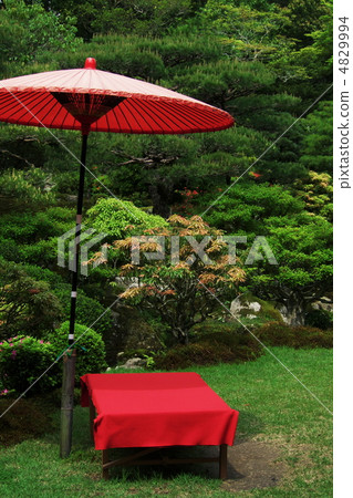 Umbrella Umbrella 4829994