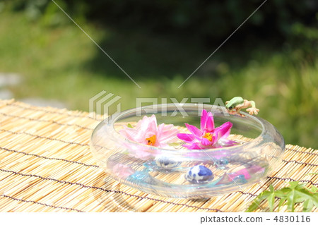 Water faucet and fish bowl 4830116