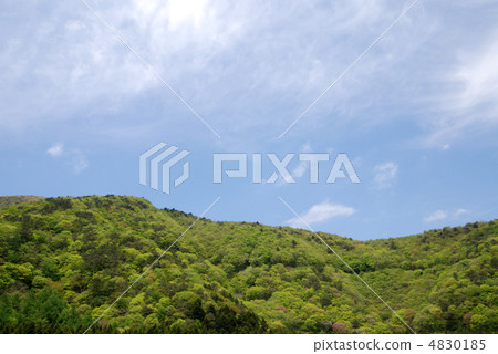 Mountains of fresh green Mountains of Mt. Fuji 4830185