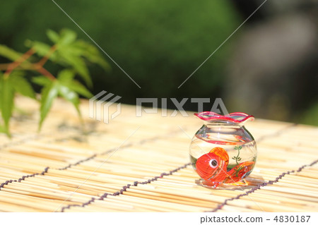 Gold fish bowl and goldfish Gold fish bowl and goldfish 4830187