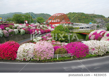 Azalei和Atsudoba Ohashi Azalei和Atsudoba Ohashi 4830435