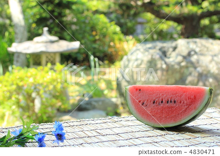 一個西瓜 一個西瓜 4830471