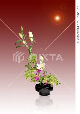 Ikebana 4830568