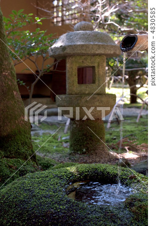 花園獅子威脅水化涼爽日本庭園花園日式苔綠色氣息 照片素材 圖片 圖庫