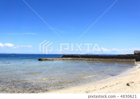 Summer sandy beach 4830621