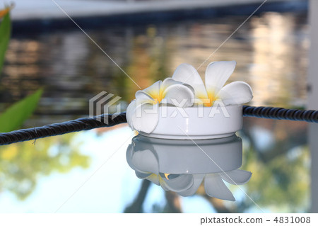 雞蛋在煙灰缸裡 雞蛋在煙灰缸裡 4831008