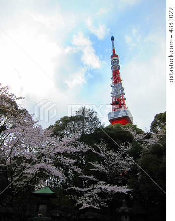 Tokyo Tower and Sakura Tokyo Tower and Sakura 4831022