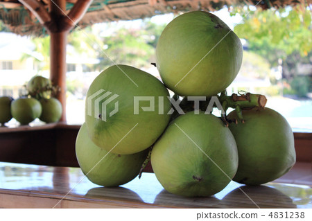 A coconut 4831238