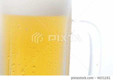 啤酒 4831281