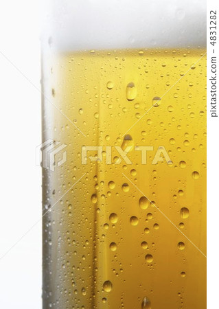 啤酒 啤酒 4831282